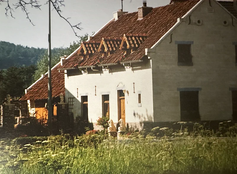 Het huis in de avondzon, met hoog gras en bloemen ervoor en de heuvels op de achtergrond