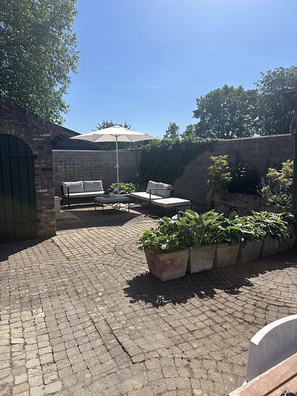 De loungehoek in de tuin: twee banken met kussens onder een witte parasol, met potten vol hosta's ervoor